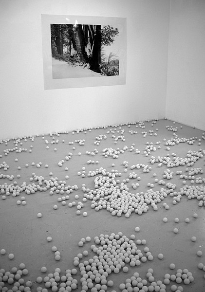 White Balance II | Galerie Billingbild